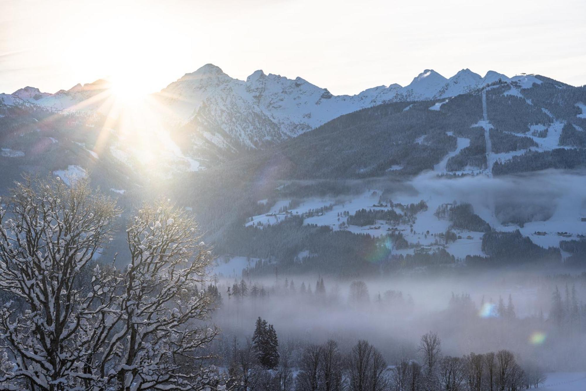 Pension Dachsteinhof Рамзау Экстерьер фото